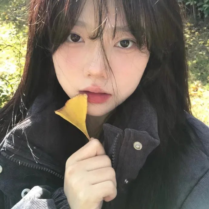 大追踪